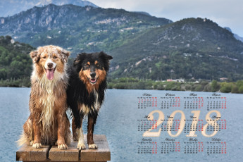 обоя календари, животные, горы, собака, двое, водоем