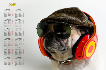 обоя календари, животные, очки, морда, собака, наушники, кепка