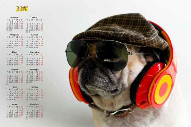 Обои картинки фото календари, животные, очки, морда, собака, наушники, кепка