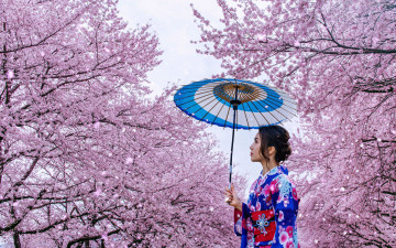 обоя девушки, - азиатки, азиатка, цветущая, сакура, кимоно, зонтик
