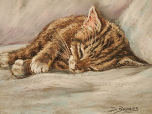 Картинка рисованные животные спящий кот
