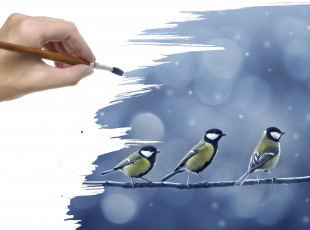 Картинка разное компьютерный дизайн снег синички птички ветка кисть рука