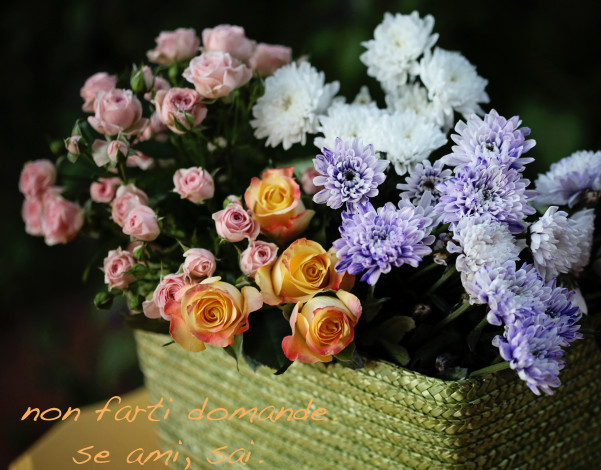 Обои картинки фото цветы, разные, вместе, розы, хризантемы, корзина