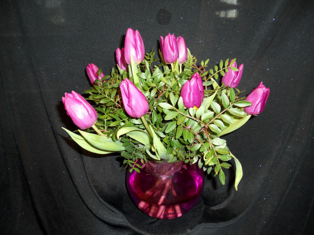 Обои картинки фото цветы, тюльпаны, букет, ваза