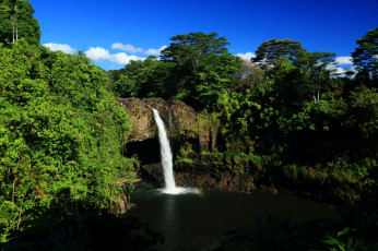 обоя hawaii, akaka, falls, природа, водопады, лес, водопад