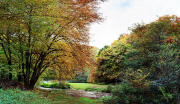 Картинка германия трайс карден природа парк деревья осень река