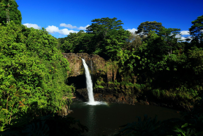 Обои картинки фото hawaii, akaka, falls, природа, водопады, лес, водопад