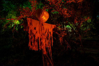 Картинка праздничные хэллоуин праздник призрак тыква