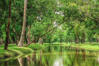 Картинка природа реки озера таиланд красота деревья река пейзаж
