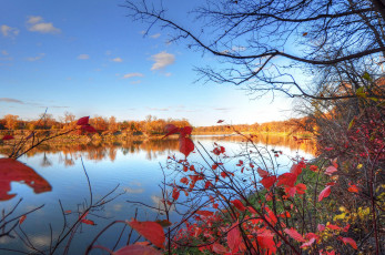 Картинка природа реки озера осень листья деревья река небо
