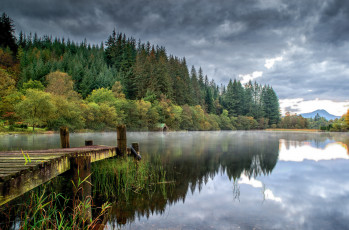 Картинка природа реки озера мостик озеро лес