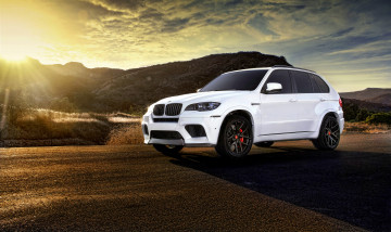 Картинка автомобили bmw x5m white tuning wheels frontside