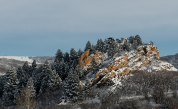 Картинка природа горы снег лес скалы