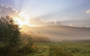Картинка природа восходы закаты пейзаж туман солнце утро холмы деревья роса трава поле