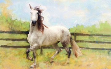 обоя рисованное, животные,  лошади, светлая, ограждение, пастельные, тона, поле, конь, лошадь, картина, графика, живопись, белая