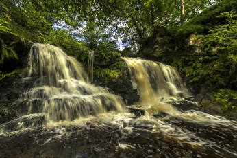 Картинка природа водопады водопад деревья