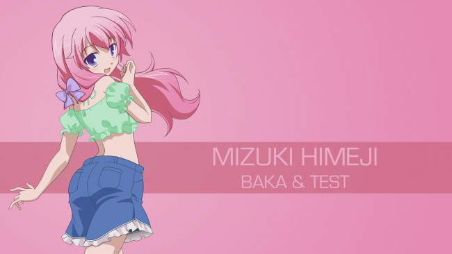 Обои картинки фото аниме, baka to test to shoukanjuu, фон, девушка, взгляд