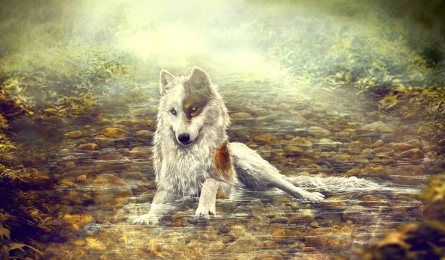 Обои картинки фото рисованное, животные,  волки, природа, by, amphispiza, вода, волк