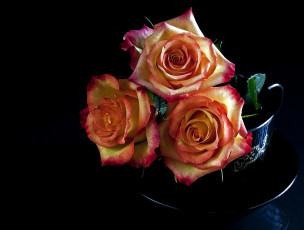 Картинка цветы розы чашка блюдце