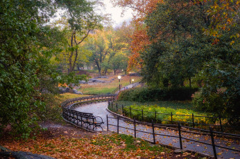 Картинка природа парк осень дорожка