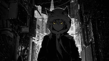 Картинка аниме город +улицы +здания капюшон взгляд ночь