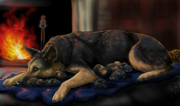 Картинка рисованное животные +собаки камин взгляд собака