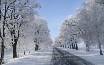 обоя природа, дороги, снег, зима, поземка, дорога, деревья