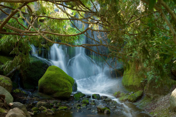 Картинка природа водопады лес река водопад