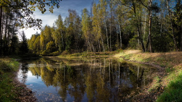 Картинка природа реки озера лес река