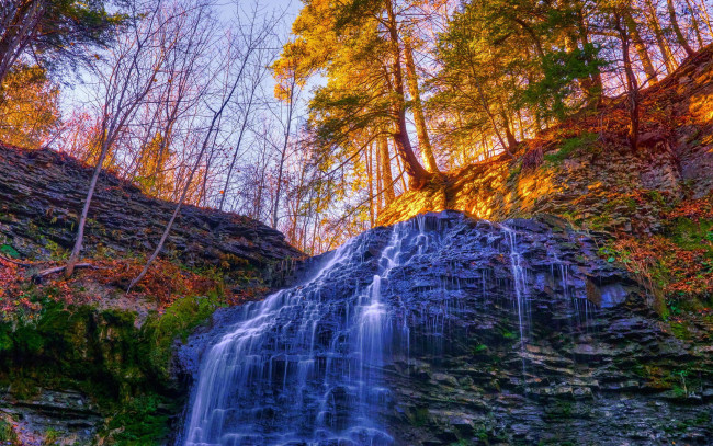 Обои картинки фото природа, водопады, лес, деревья, поток, осень