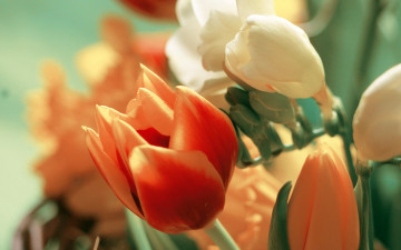 Картинка цветы разные+вместе букет тюльпан