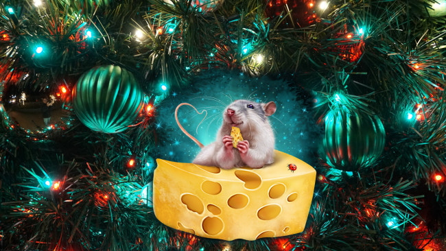 Обои картинки фото праздничные, - разное , новый год, как, новый, жить, год, мышь, в, сыре