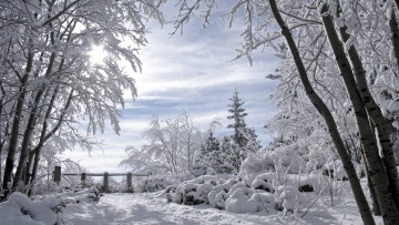 обоя природа, зима, зимний, пейзаж, заснеженные, деревья, романтика, зимы