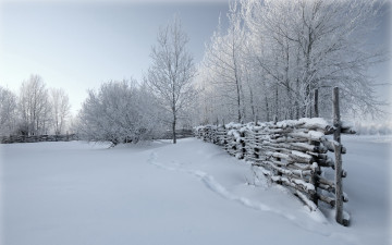 обоя №599105, природа, зима, снег, деревья, забор