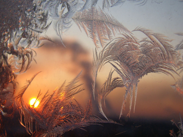 Обои картинки фото природа, макро, стекло, мороз