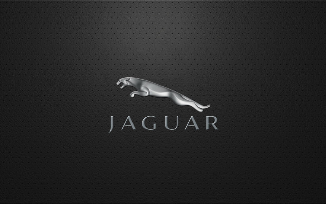 Обои картинки фото бренды, авто, мото, jaguar, сетка, логотип