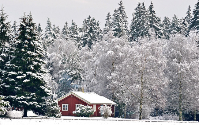 Обои картинки фото природа, зима, домик, снег, деревья