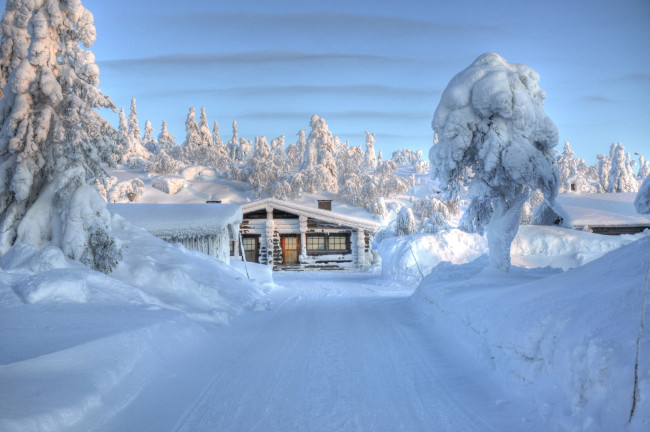 Обои картинки фото природа, зима, деревья, дорога, снег, домик