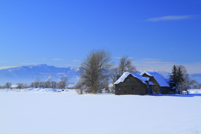Обои картинки фото природа, зима, дома, снег, горы, деревья
