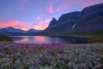 Картинка природа реки озера norway норвегия озеро горы цветы восход пейзаж