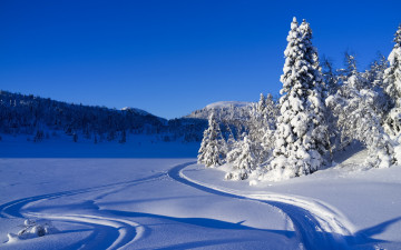 Картинка природа зима пейзаж снег