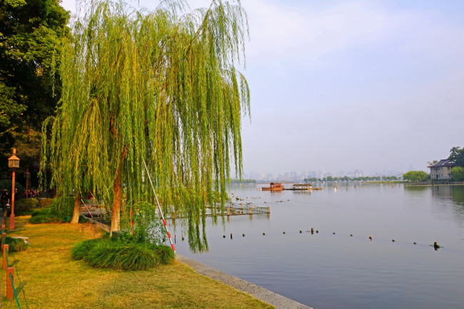 Обои картинки фото китай, Чжэцзян, ханьчжоу, природа, парк, река, растения