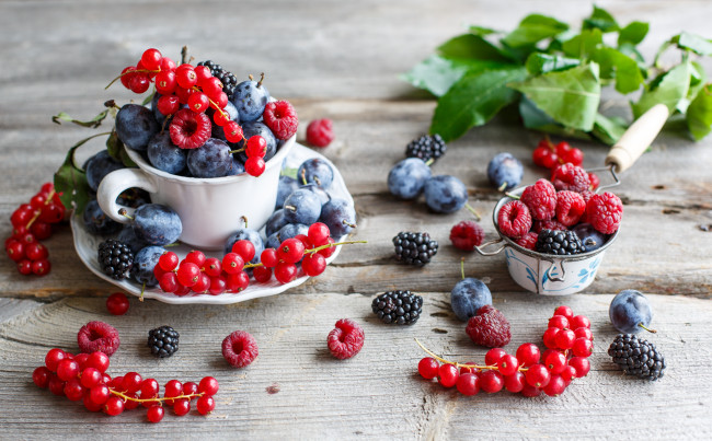 Обои картинки фото еда, - фрукты,  ягоды, красная, смородина, сливы, малина, ягоды, ежевика