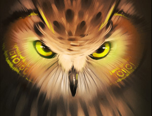Картинка gaudibuendia рисованное животные +птицы +совы +филины перья клюв взгляд глаза сова портрет