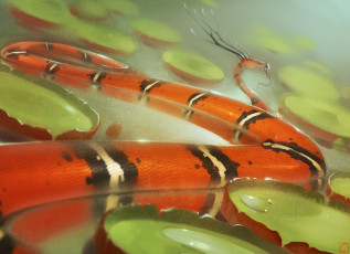 Картинка gaudibuendia рисованное животные +сказочные +мифические рожки змея красная