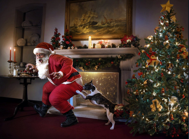Обои картинки фото праздничные, дед мороз,  санта клаус, елка, камин, санта, свечи, собака