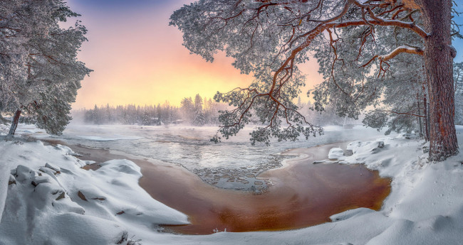 Обои картинки фото природа, зима, закат, пейзаж, деревья, река