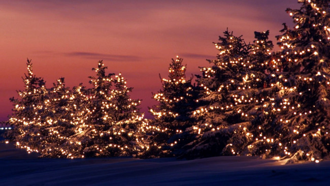 Обои картинки фото праздничные, Ёлки, гирлянды, елки, снег