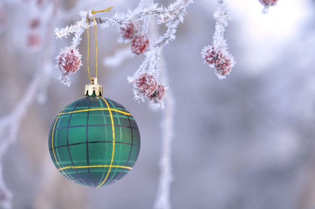 Обои картинки фото праздничные, шары, шарик, ветка, снег, ягоды