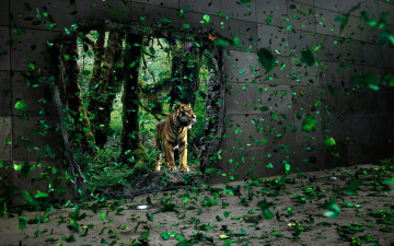 Картинка разное компьютерный+дизайн стена тигр джунгли листья дыра